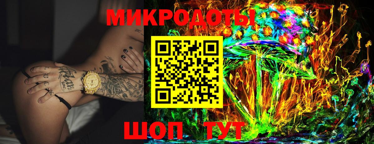 Псилоцибиновые грибы Psilocybine cubensis Усть-Илимск